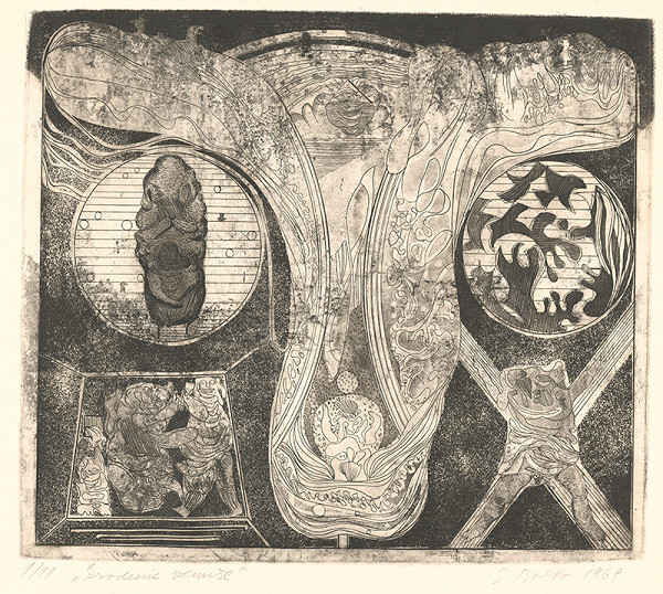 Stanislav Balko – Zrodenie Venuše 