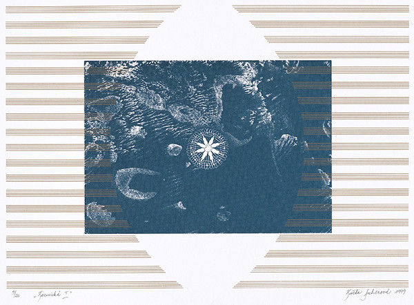 Kvetoslava Fulierová – Kozmická I. 