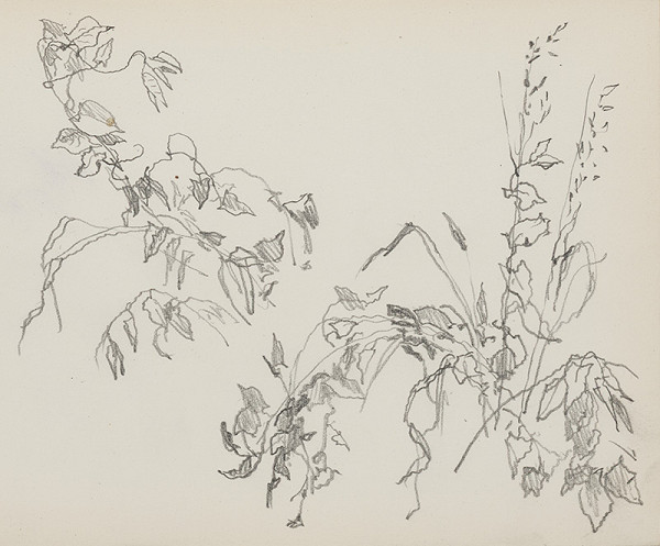 Jaroslav Vodrážka – Kresba č. 46 - Turčianske Teplice 