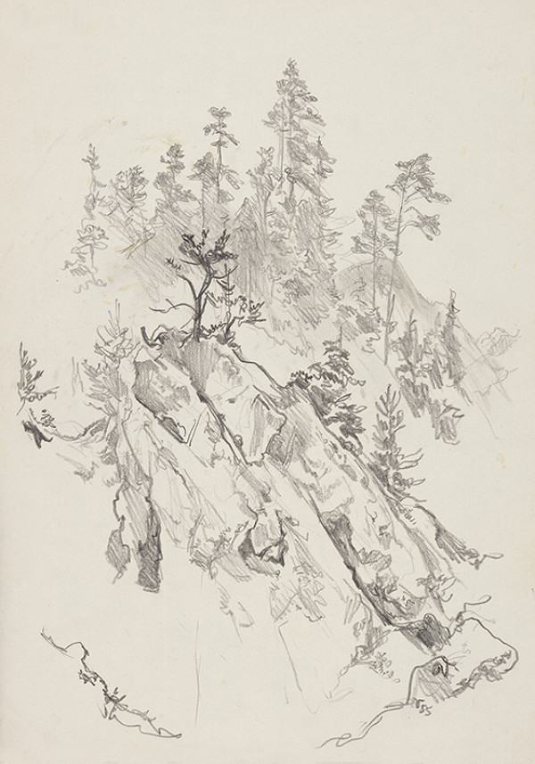 Jaroslav Vodrážka – Skala v lese 