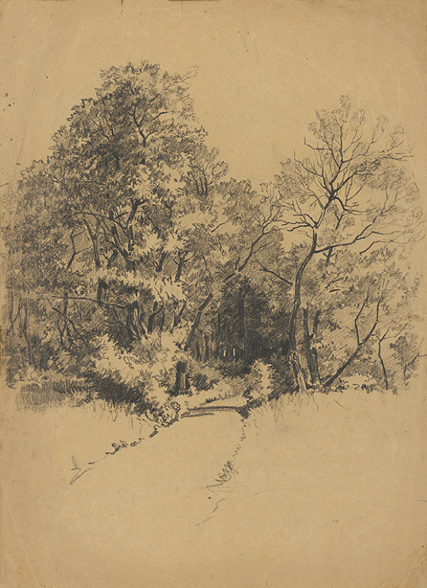 František Gyurkovits – Lesná cesta 