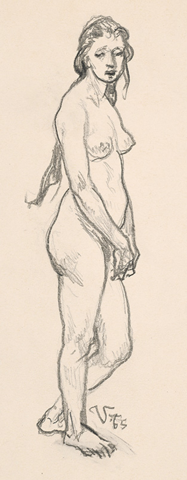 Jaroslav Vodrážka – Akt XV. 