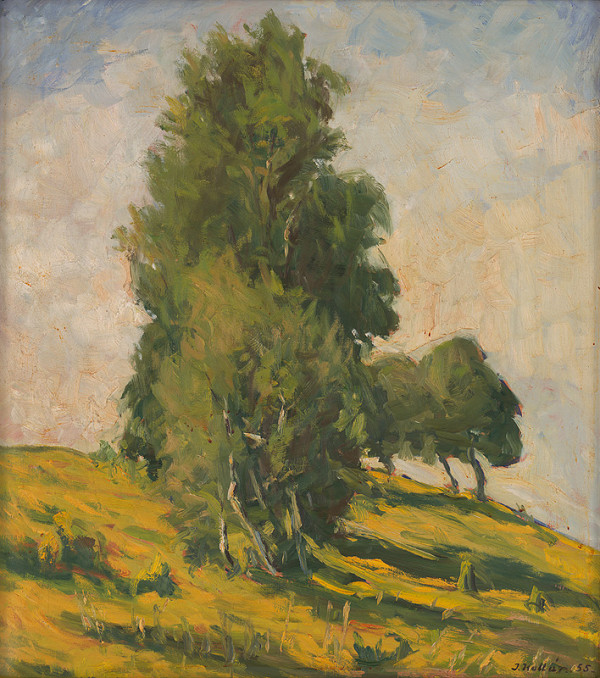 Jozef Kollár – Leto 