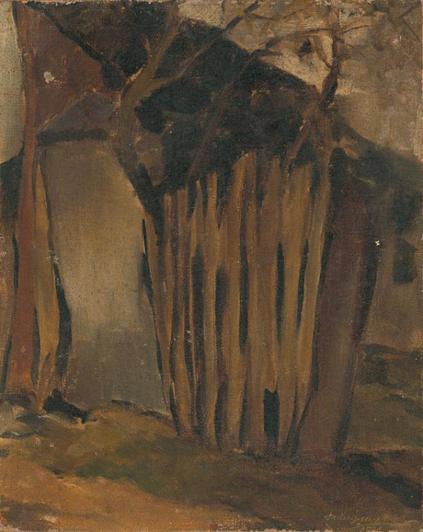 Zolo Palugyay – Krajina 