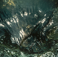 Martin Martinček – Vzdušná ulica č.56 