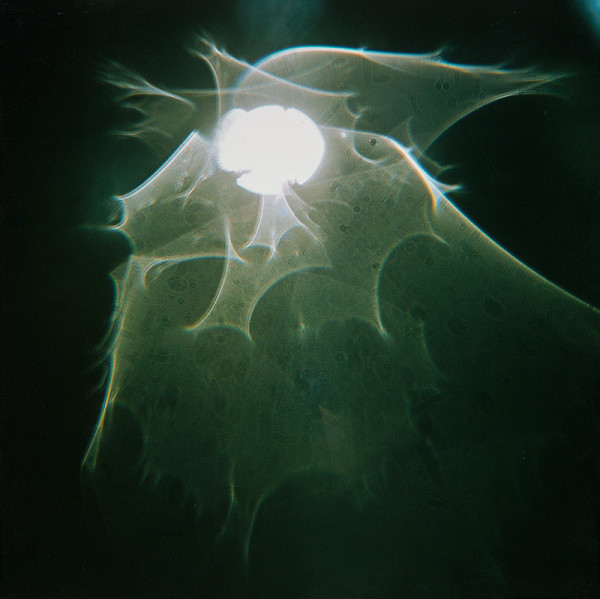 Martin Martinček – Chvála slnka 