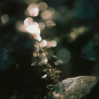 Martin Martinček – Chvála slnka 