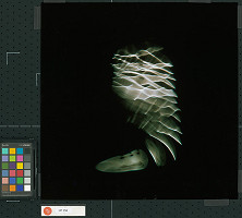 Martin Martinček – Chvála slnka 