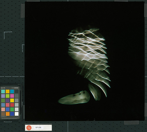 Martin Martinček – Chvála slnka 