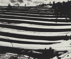 Martin Martinček – Kopnejúce horské polia 