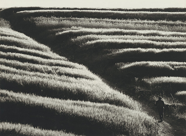 Martin Martinček – Pred žatvou 