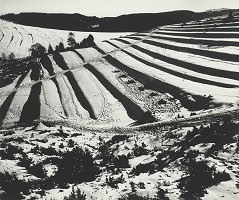 Martin Martinček – Predjarie II. 