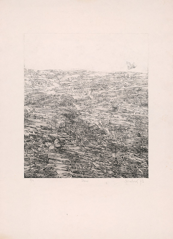 Jana Kiselová-Siteková – Zem 