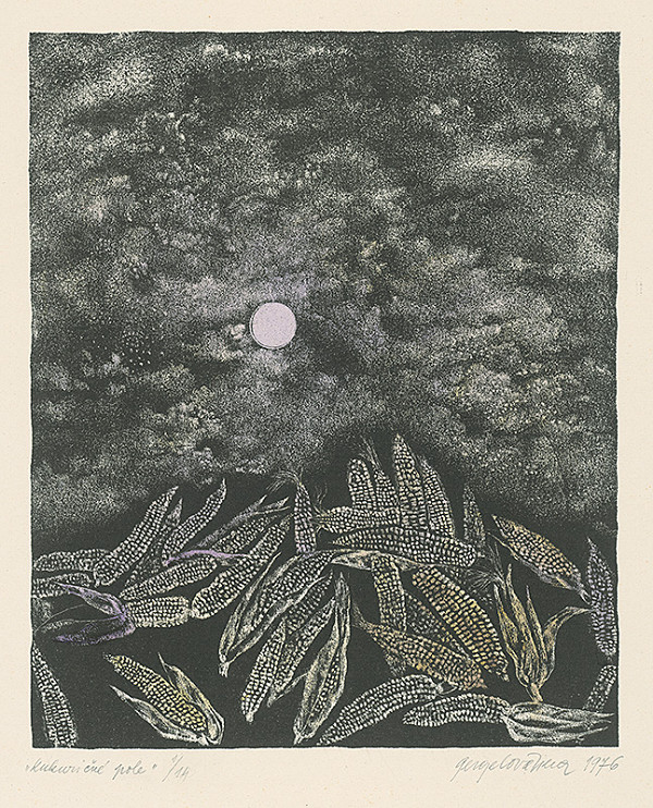 Viera Gergeľová – Kukuričné pole 