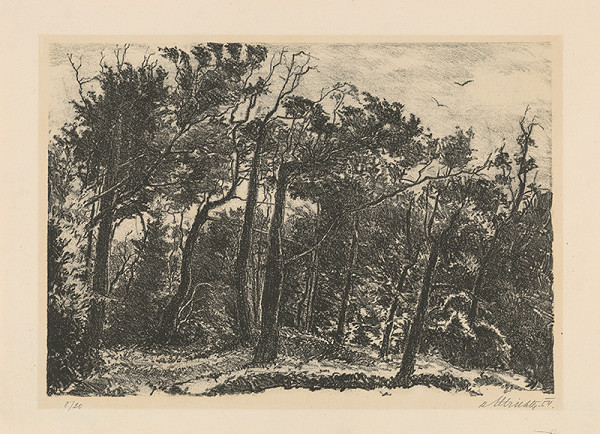 Rudolf Altrichter – Les 