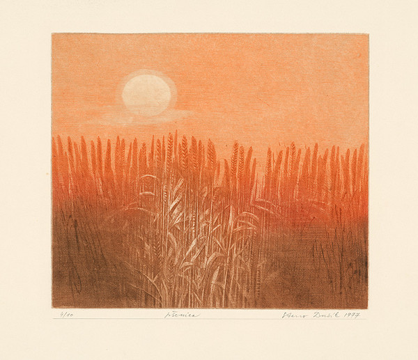 Stanislav Dusík – Pšenica 