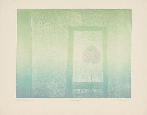 Blanka Votavová – Budúcnosť 