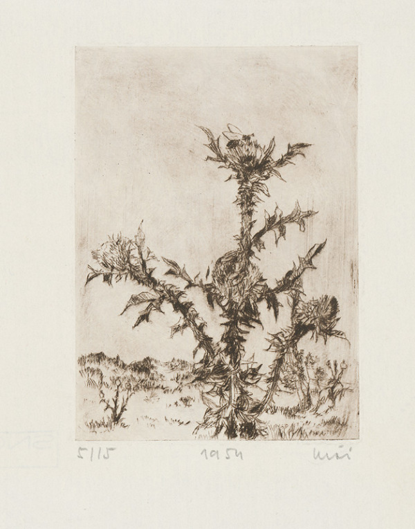 Fero Kráľ – Bodliak 