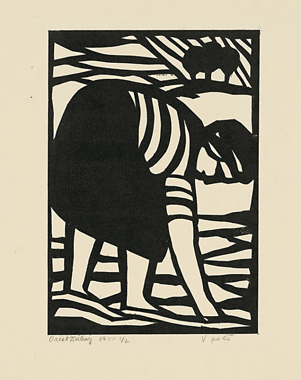 Orest Dubay – V poli 