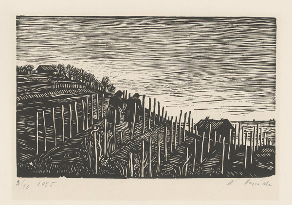 Alojz Pepich – Vinobranie 