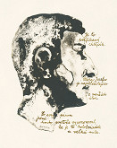 Dušan Grečner – Profil 