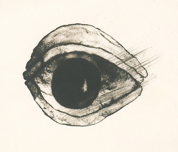 Dušan Grečner – Oko 