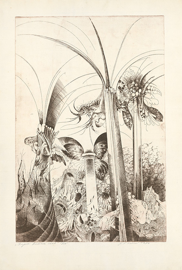 Alžbeta Štefunková-Szabová – Bujará hostina skál 