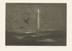 Maja Dusíková – nad morom 