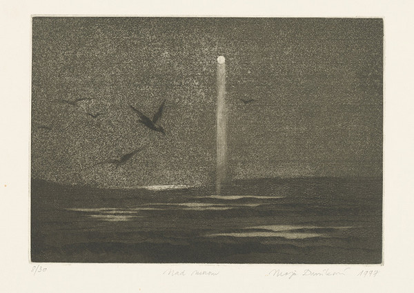 Maja Dusíková – nad morom 