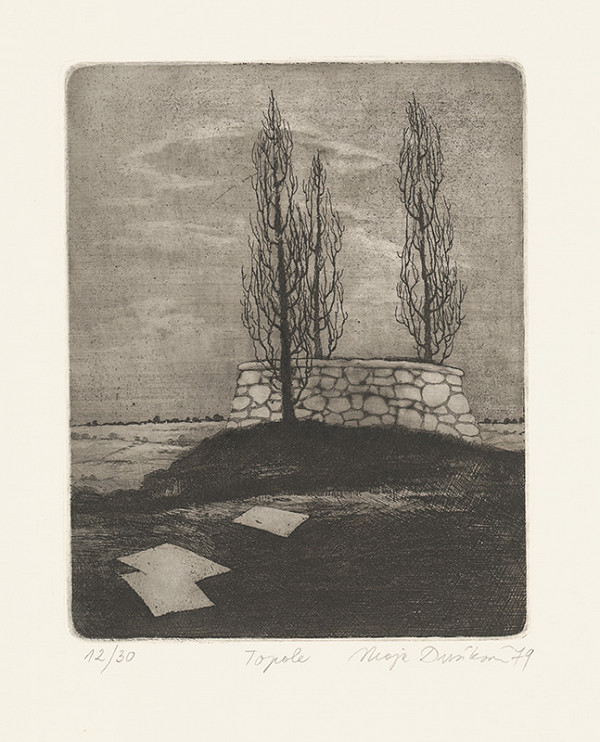 Maja Dusíková – Topole 