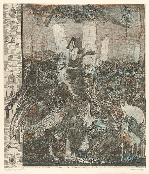 Dušan Kállay – Raj divokých vtákov 