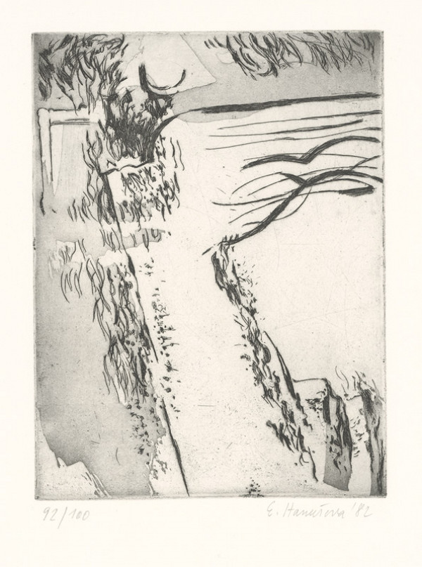 Eva Pospíšil Hanušová – Tráva 