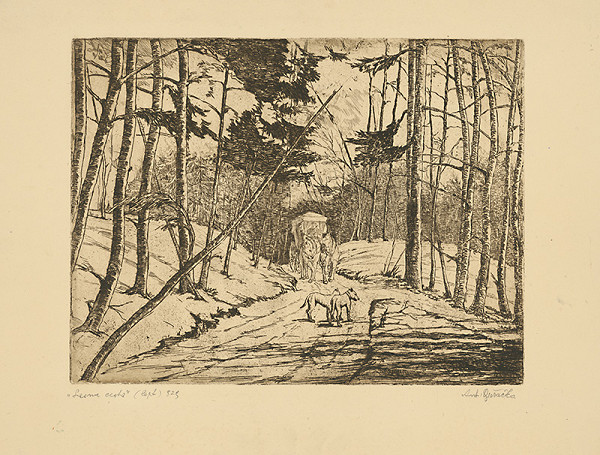 Anton Djuračka – Lesná cesta 