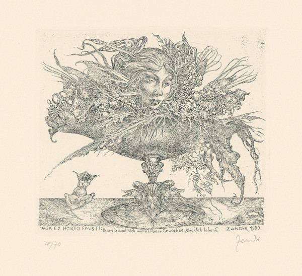 Heinz Zander – Sen Heleny 