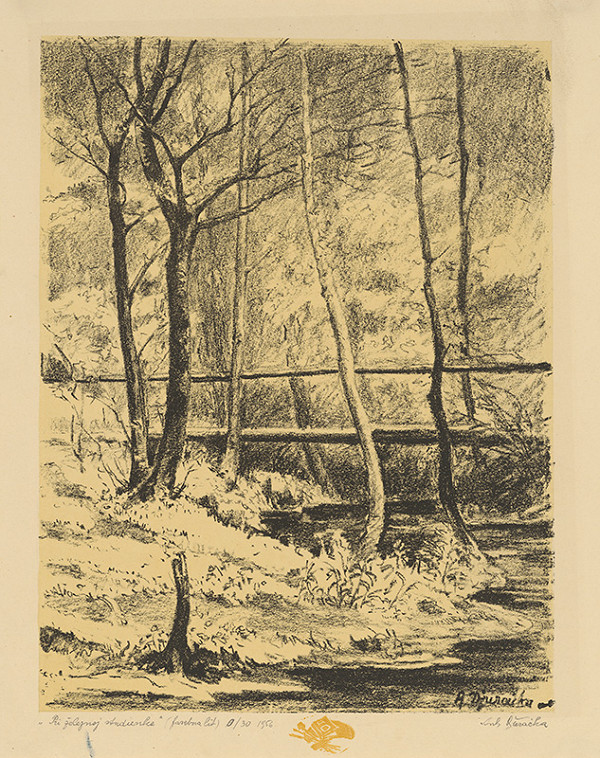 Anton Djuračka – Pri Železnej studienke 