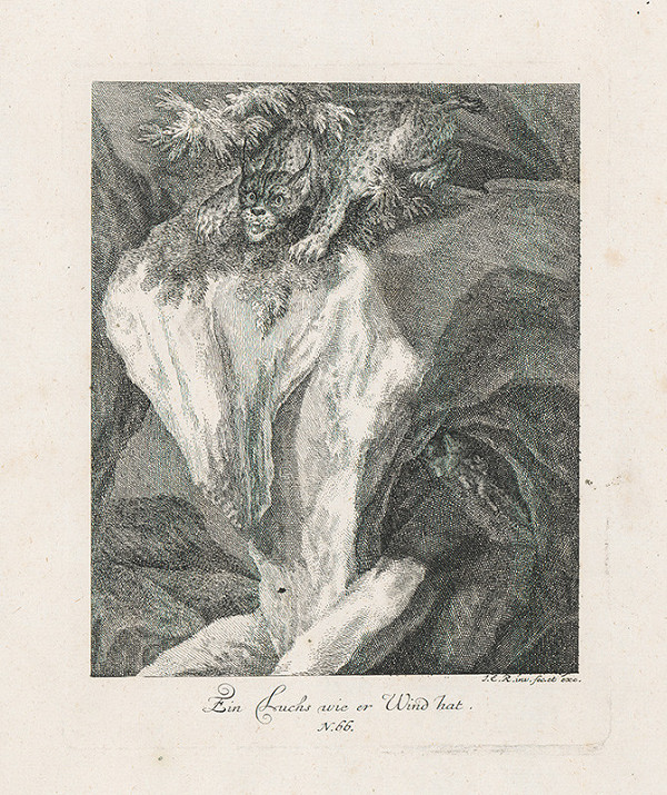 Johann Elias Ridinger – Loviaci rys 