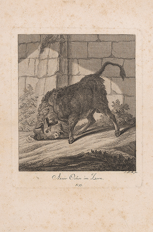 Johann Elias Ridinger – Tur 