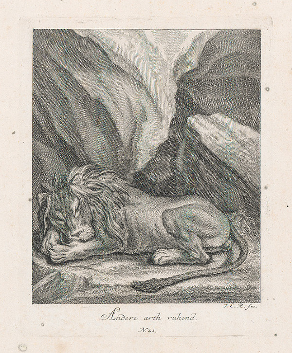 Johann Elias Ridinger – Spiaci lev 