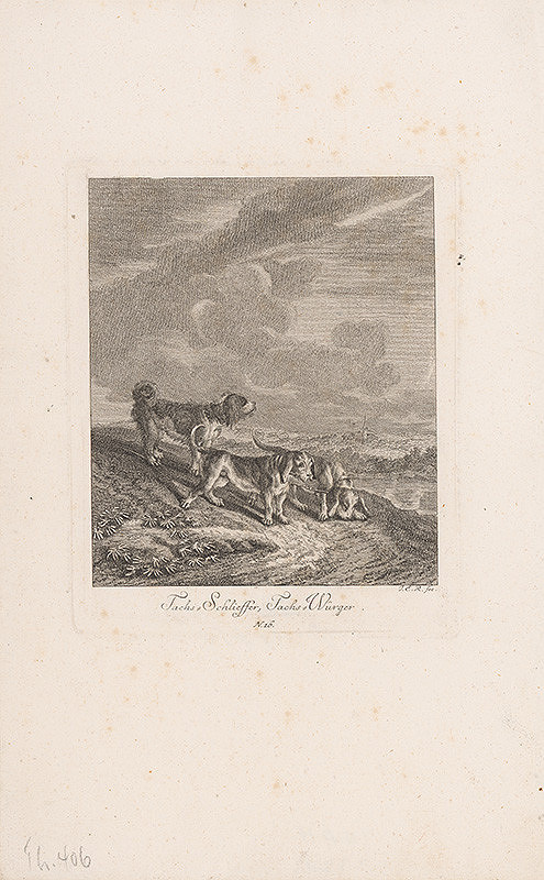 Johann Elias Ridinger – Taxlíci 