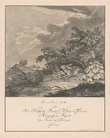 Johann Elias Ridinger – Zajac 