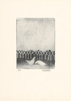 Vladimír Komárek – Dve kury 