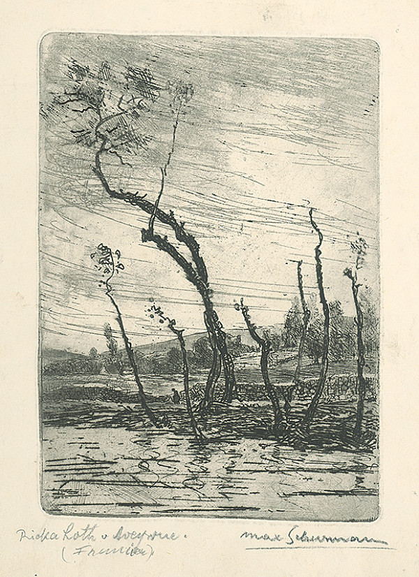 Maximilián Schurmann – Rieka Loth v Aveyrone -Francúzsko 