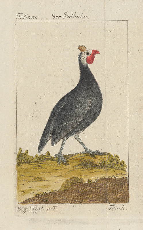 Johann Georg Schmidt – 2. ilustrácia 