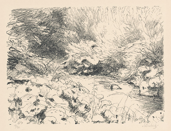 Max Švabinský – Džungla v parku 