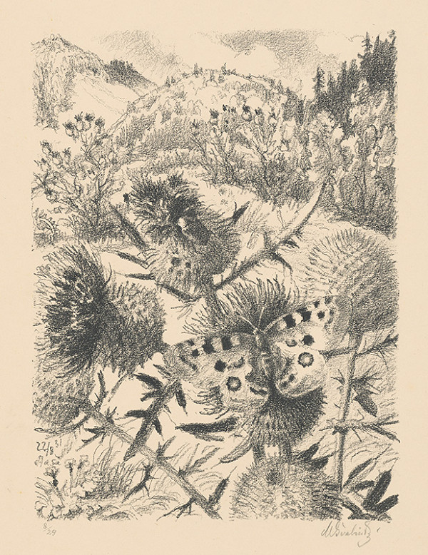 Max Švabinský – Parnassius Apollo tmavý 