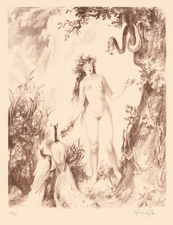 Jaroslav Vodrážka – Eva