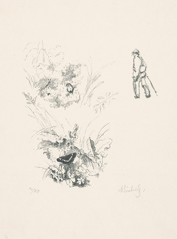 Max Švabinský – Malá Apatura Iris a Zlatohlávok 