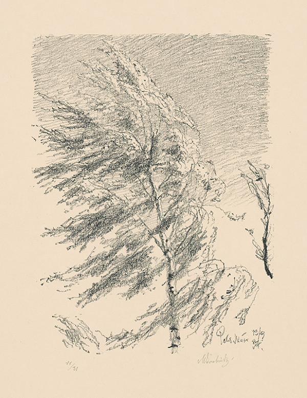 Max Švabinský – Briezka vo vetre 