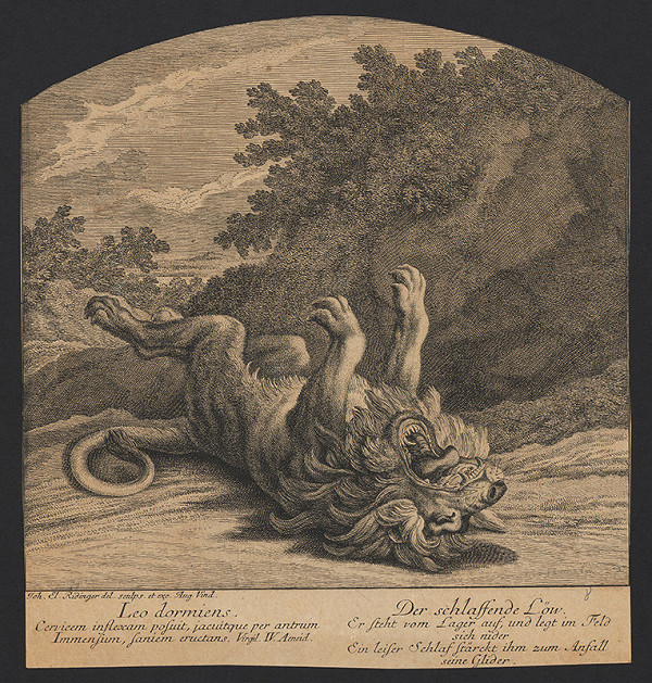 Johann Elias Ridinger – Spiaci lev 