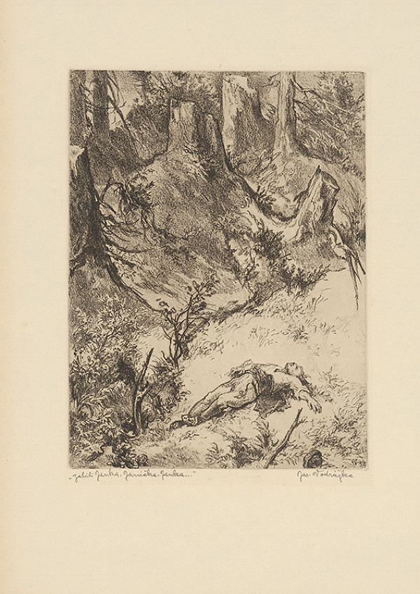 Jaroslav Vodrážka – Zabili Janka, Janíčka, Janka ...